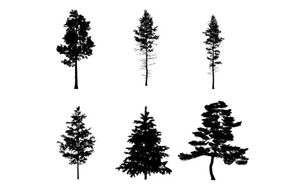 Mastering Natural Landscapes with 6 Pine Tree Photoshop Brushes