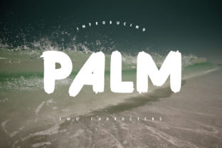 Palm: Where Bold Authenticity Meets Modern Typography